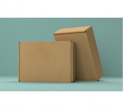 Caixa de papelão personalizada padrão correios - FBCP-290322