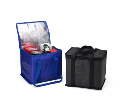 Bolsa Térmica em polietileno  12 Litros