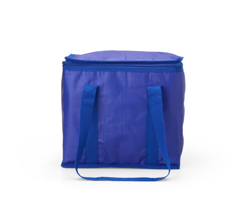 Bolsa Térmica em polietileno  12 Litros