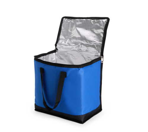 Bolsa Térmica 20 Litros