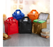   Bolsa Térmica 5 Litros em TNT