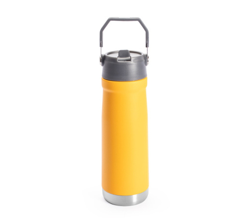 Garrafa Térmica 630ml com canudo