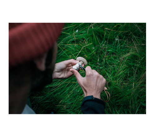 Canivete com lâmina metálica em aço inox e cabo em bambu