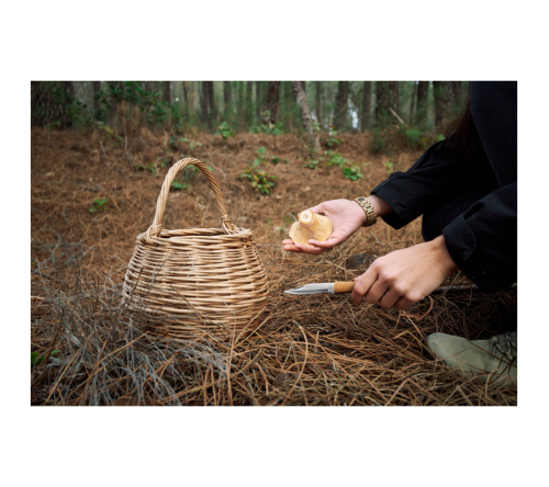 Canivete com lâmina metálica em aço inox e cabo em bambu