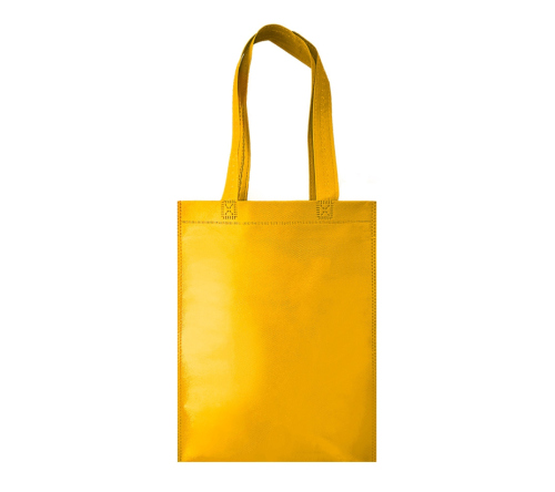 Sacola de Tnt 35x26 cm